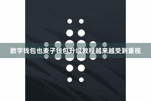 数字钱包也麦子钱包升级教程越来越受到重视