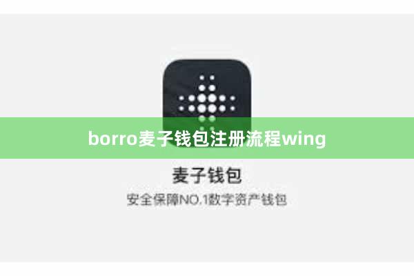 borro麦子钱包注册流程wing
