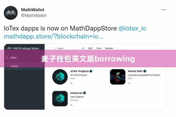 麦子钱包英文版borrowing