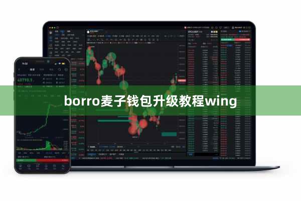 borro麦子钱包升级教程wing