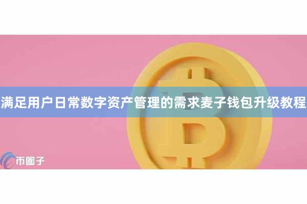 满足用户日常数字资产管理的需求麦子钱包升级教程