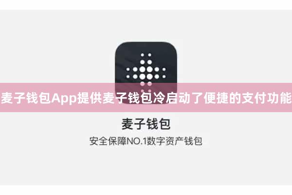 麦子钱包App提供麦子钱包冷启动了便捷的支付功能