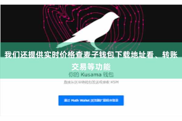 我们还提供实时价格查麦子钱包下载地址看、转账交易等功能