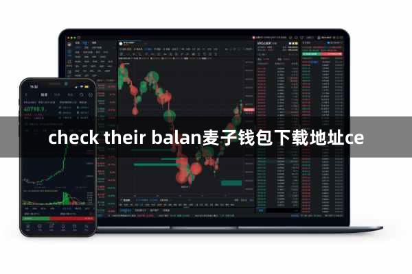 check their balan麦子钱包下载地址ce