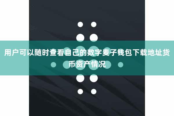 用户可以随时查看自己的数字麦子钱包下载地址货币资产情况