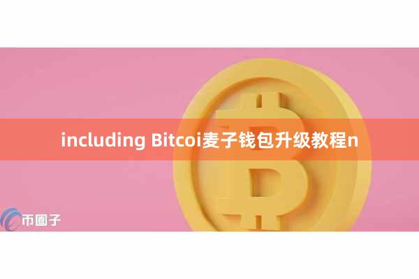 including Bitcoi麦子钱包升级教程n