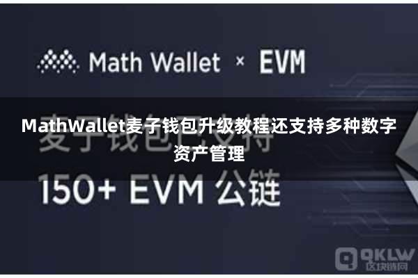 MathWallet麦子钱包升级教程还支持多种数字资产管理