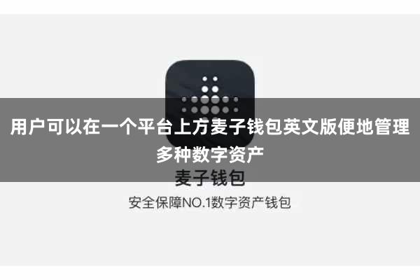 用户可以在一个平台上方麦子钱包英文版便地管理多种数字资产